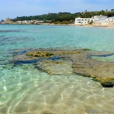 Acquazzurra *